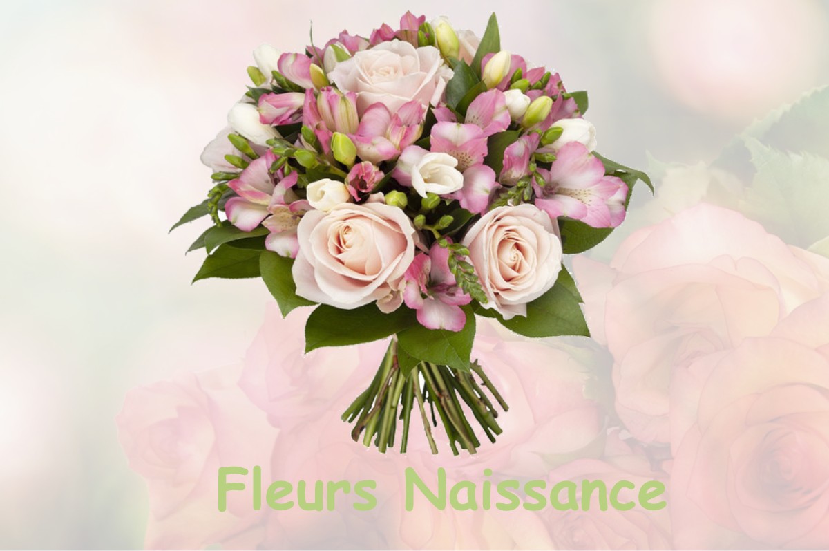 fleurs naissance SAINT-GEORGES-DE-GREHAIGNE